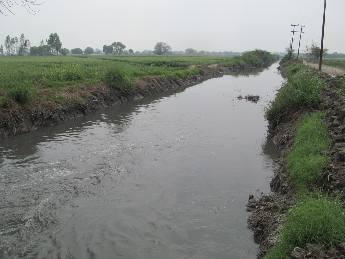 The irrigation canal near Kanpur