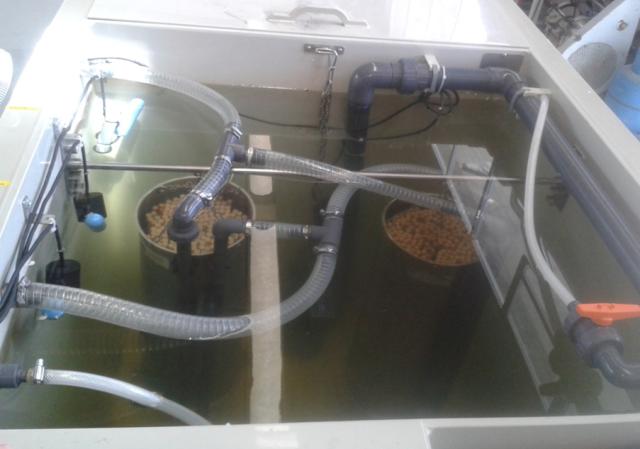 Membrane bioreactor in lab